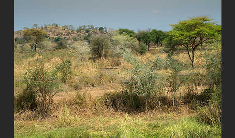 Aethiopien (Ethiopia)