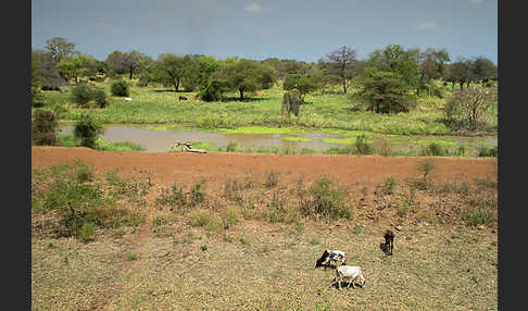 Aethiopien (Ethiopia)