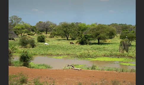 Aethiopien (Ethiopia)