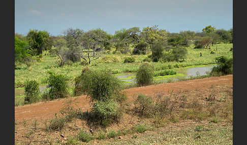 Aethiopien (Ethiopia)