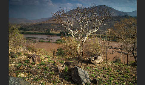 Aethiopien (Ethiopia)