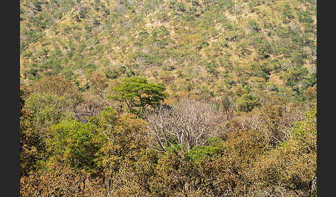 Aethiopien (Ethiopia)