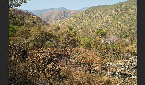 Aethiopien (Ethiopia)