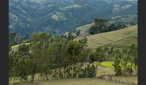 Aethiopien (Ethiopia)