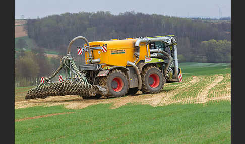 Intensive Landwirtschaft (industrial agriculture)