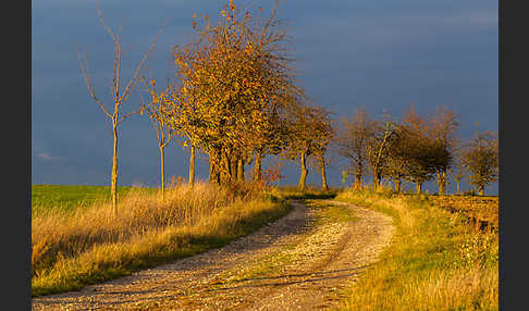 Thüringen (Thuringia)