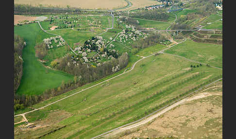 Thüringen (Thuringia)