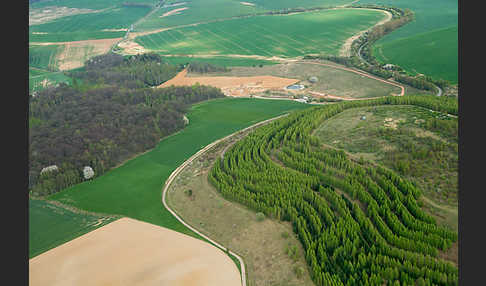 Thüringen (Thuringia)