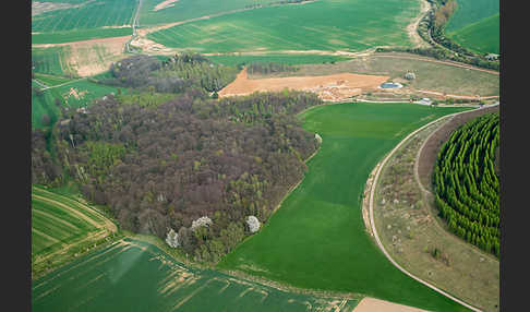 Thüringen (Thuringia)