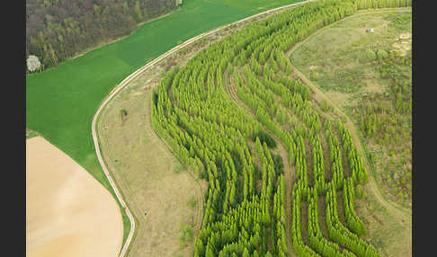 Thüringen (Thuringia)