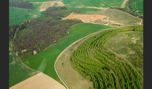 Thüringen (Thuringia)