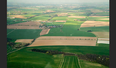 Thüringen (Thuringia)