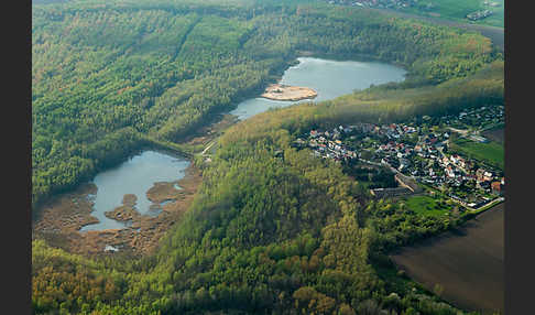 Thüringen (Thuringia)