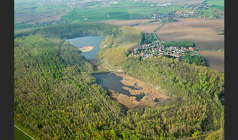 Thüringen (Thuringia)