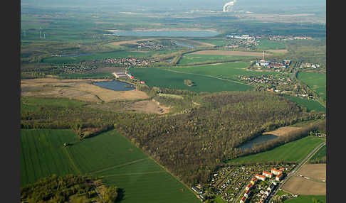 Thüringen (Thuringia)