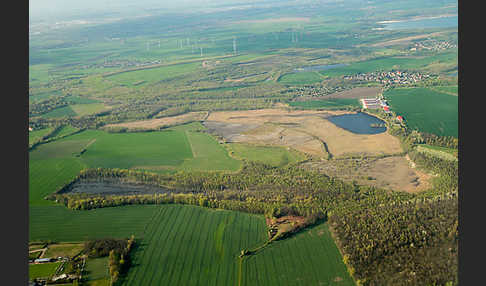 Thüringen (Thuringia)