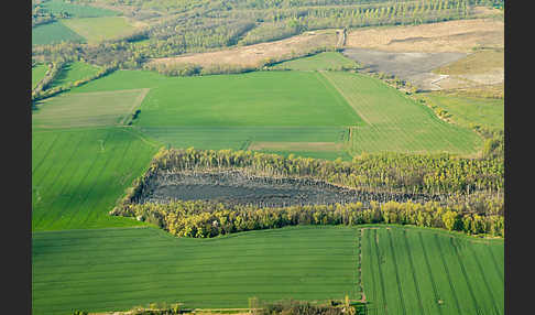 Thüringen (Thuringia)