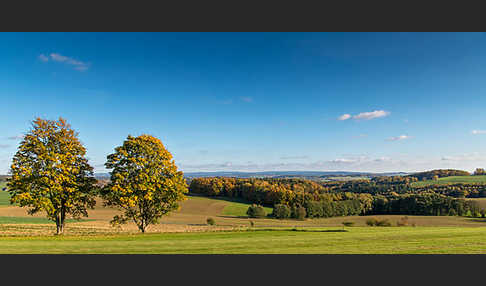 Herbst (autumn)