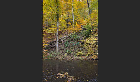 Thüringen (Thuringia)