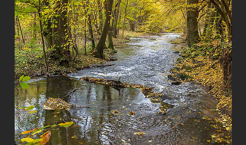 Thüringen (Thuringia)