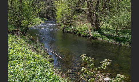 Thüringen (Thuringia)