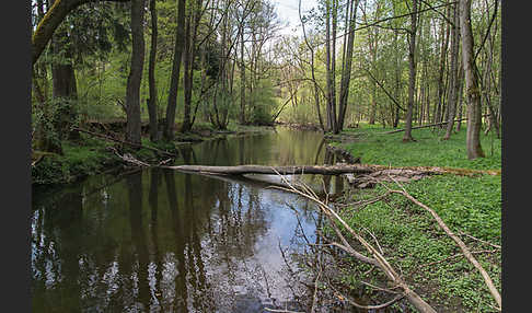 Thüringen (Thuringia)