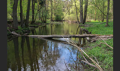 Thüringen (Thuringia)