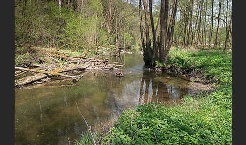 Thüringen (Thuringia)