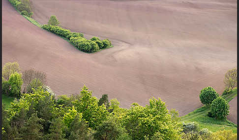 Thüringen (Thuringia)