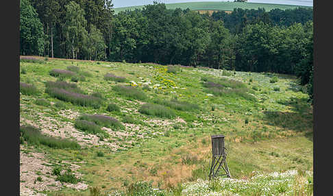 Kulturlandschaft (cultivated landscape)