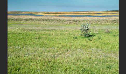 Kasachstan (Kazakhstan)