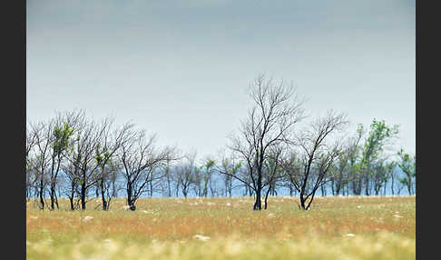 Kasachstan (Kazakhstan)