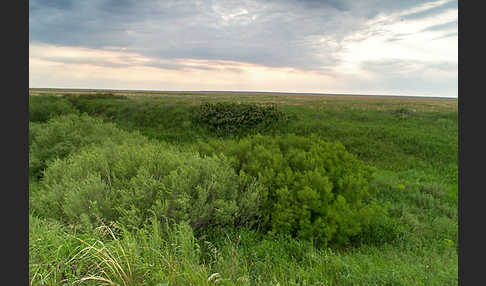 Kasachstan (Kazakhstan)