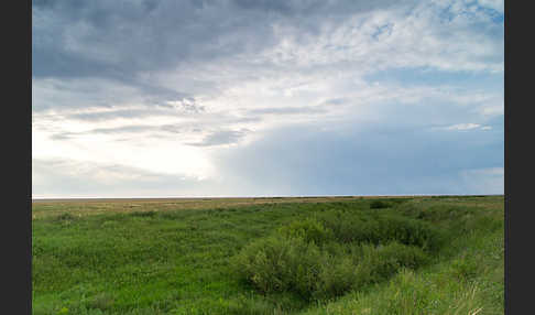 Kasachstan (Kazakhstan)