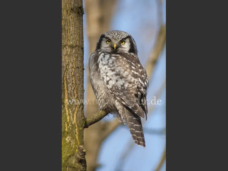 2207