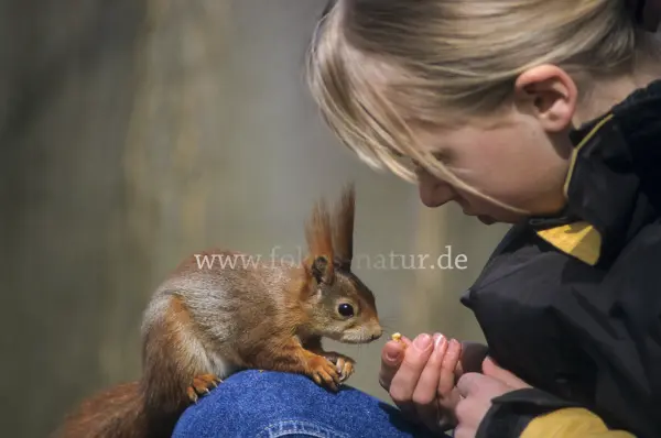 Fokus-Natur Bild