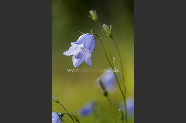 10072