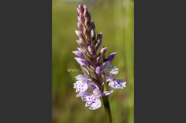 10483