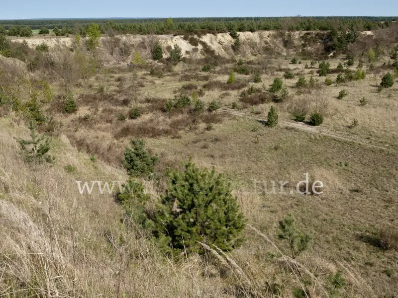 11288