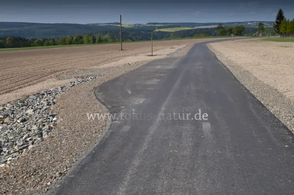Fokus-Natur Bild