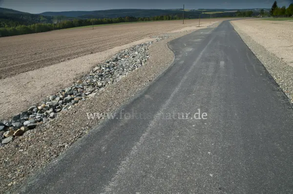 Fokus-Natur Bild