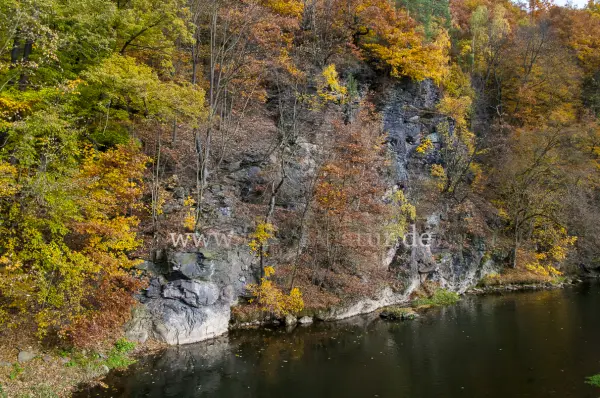 Fokus-Natur Bild
