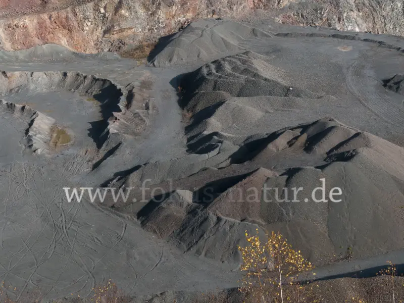 17702