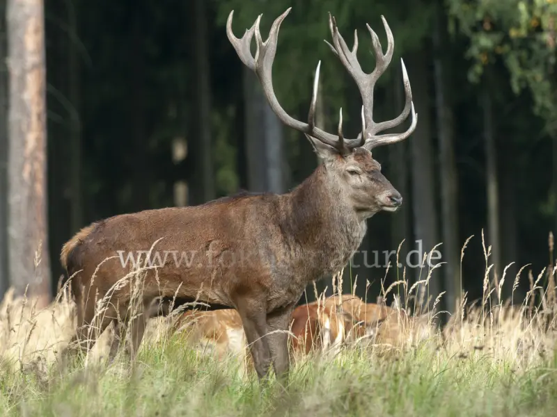 20199