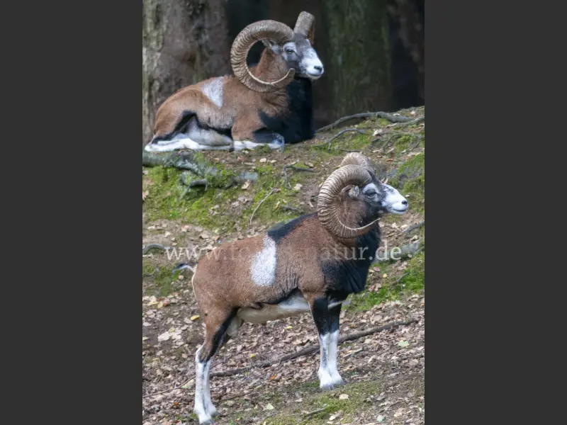 20257