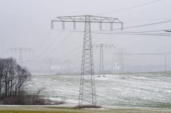 Fokus-Natur Bild