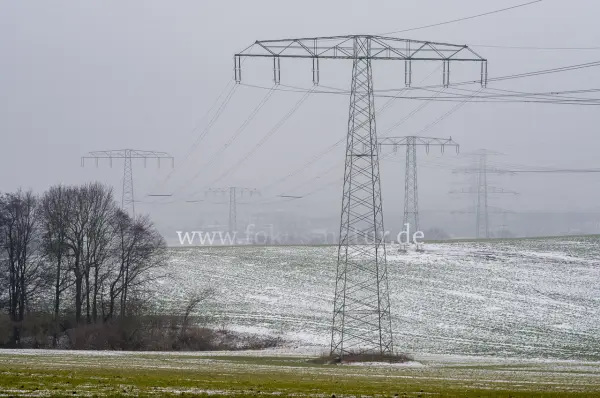 Fokus-Natur Bild