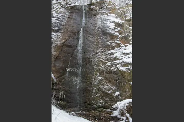 Fokus-Natur Bild
