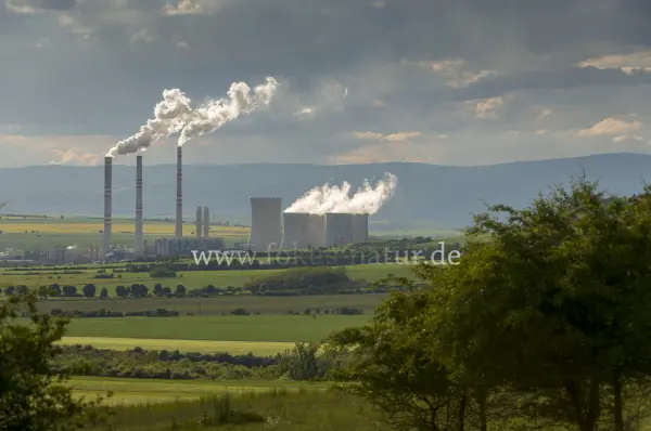 Fokus-Natur Bild