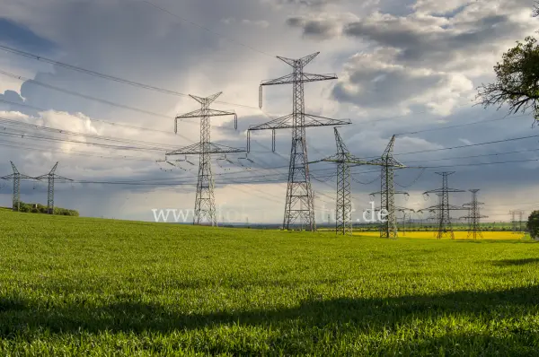 Fokus-Natur Bild